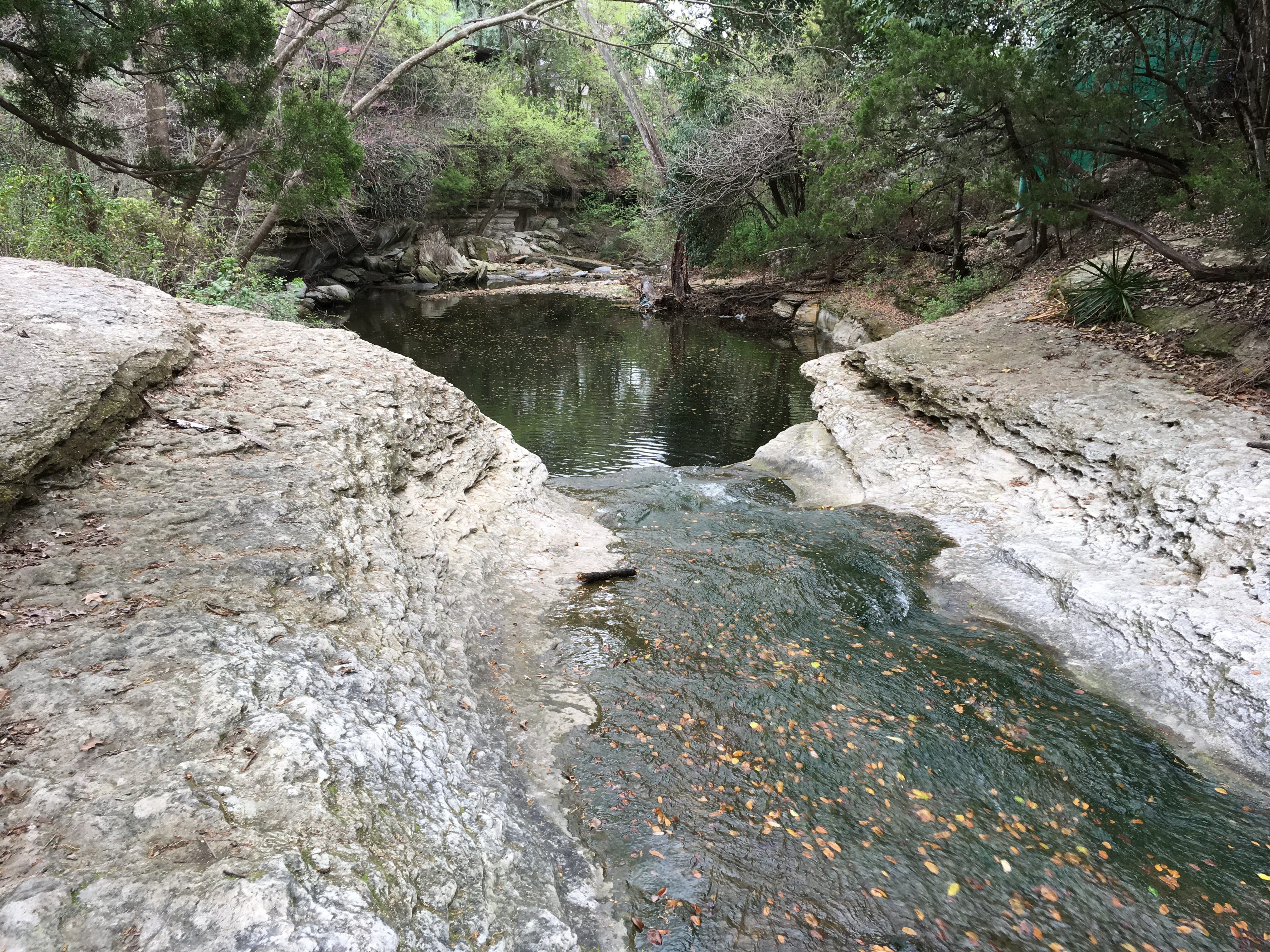 BCNA General Association Meeting